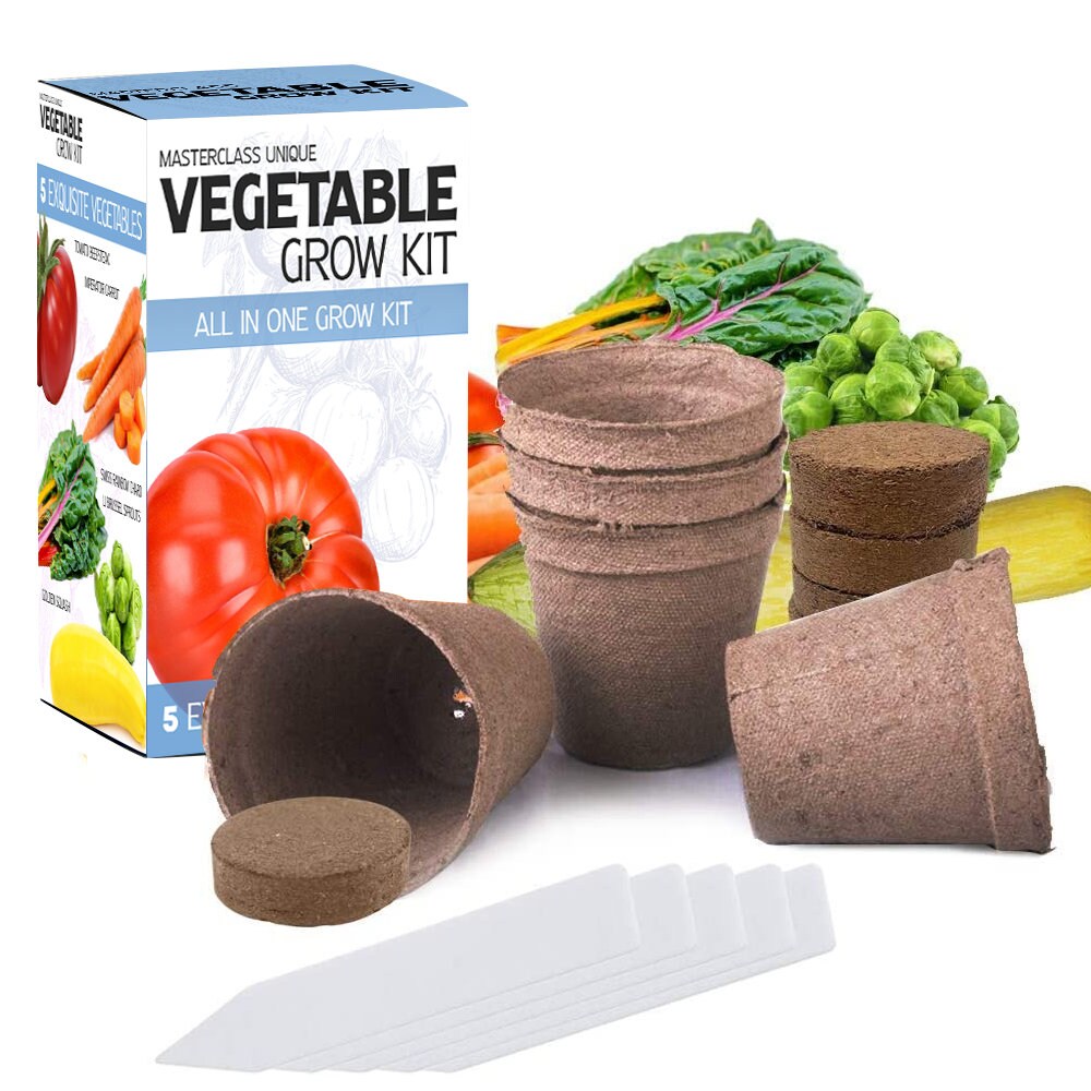 Vegetable Growing Kit 5 Extraordinary Vegetables to Grow Etsy