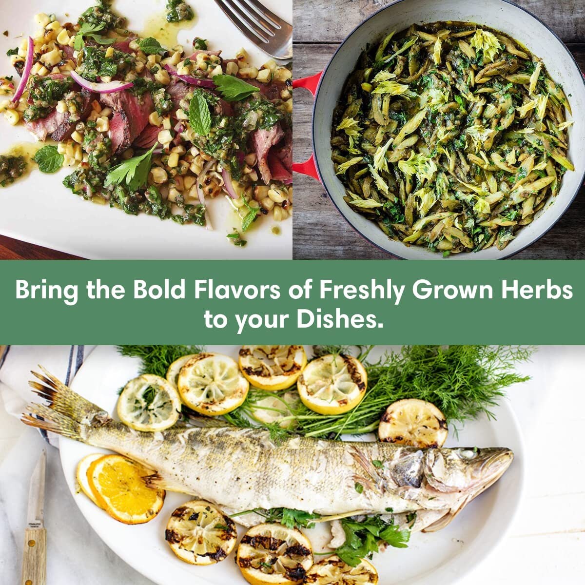 Culinary Herb Garden Kit Easily Grow 10 Culinary Herbs With Etsy