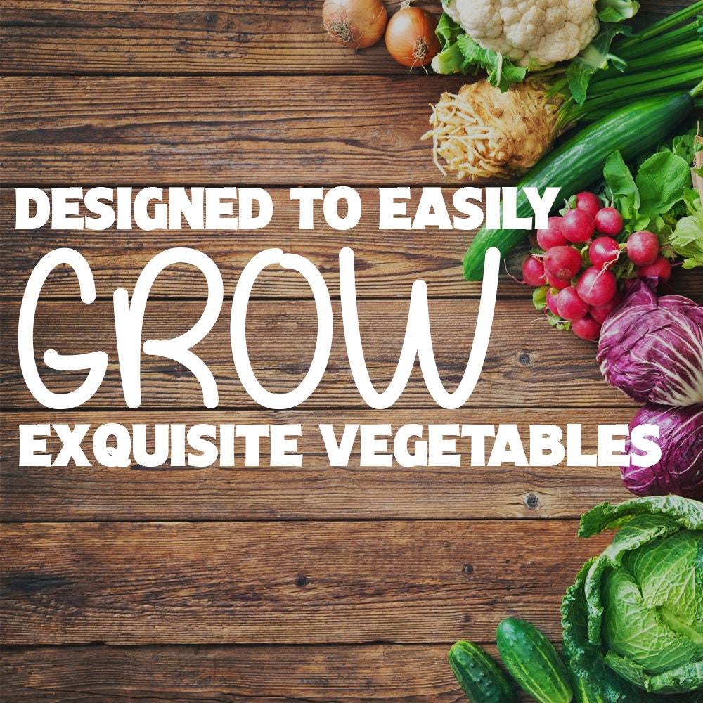Vegetable Growing Kit 5 Extraordinary Vegetables to Grow Etsy