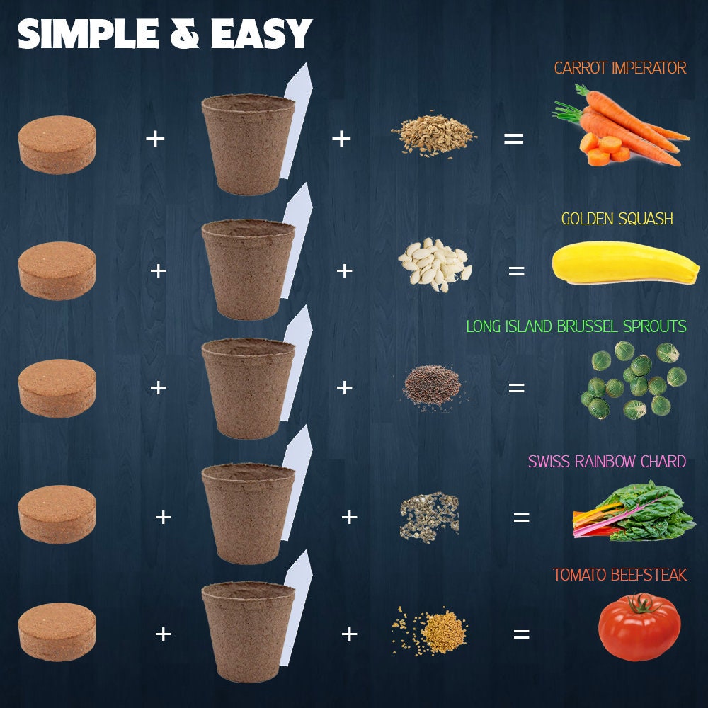 Vegetable Growing Kit 5 Extraordinary Vegetables to Grow Etsy