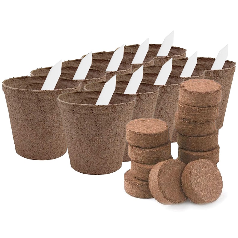 10PACK Peat Cups Seedling Starter Kit With Coir Soil Disc & Etsy