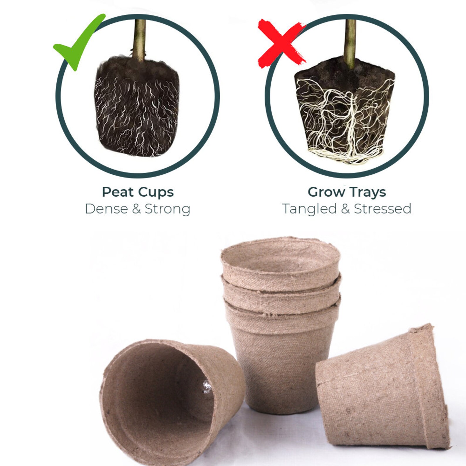 10PACK Peat Cups Seedling Starter Kit With Coir Soil Disc & Etsy