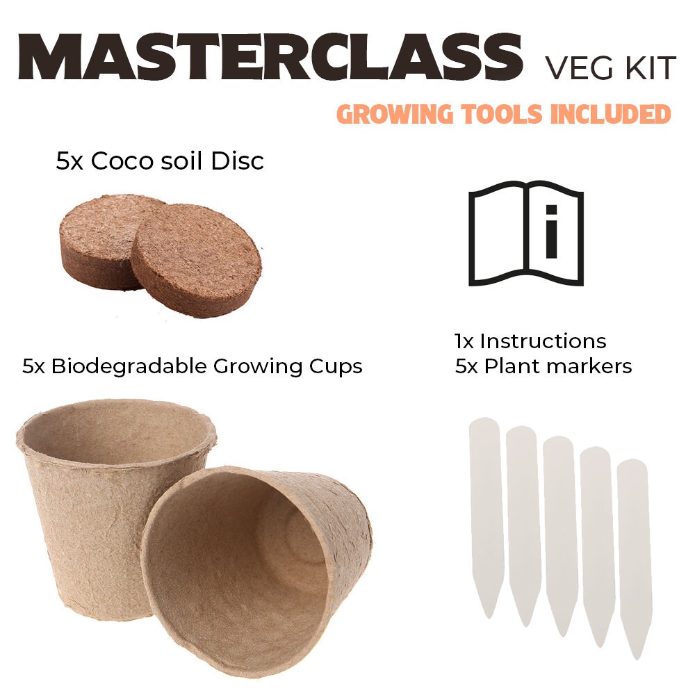 Vegetable Growing Kit 5 Extraordinary Vegetables to Grow Etsy