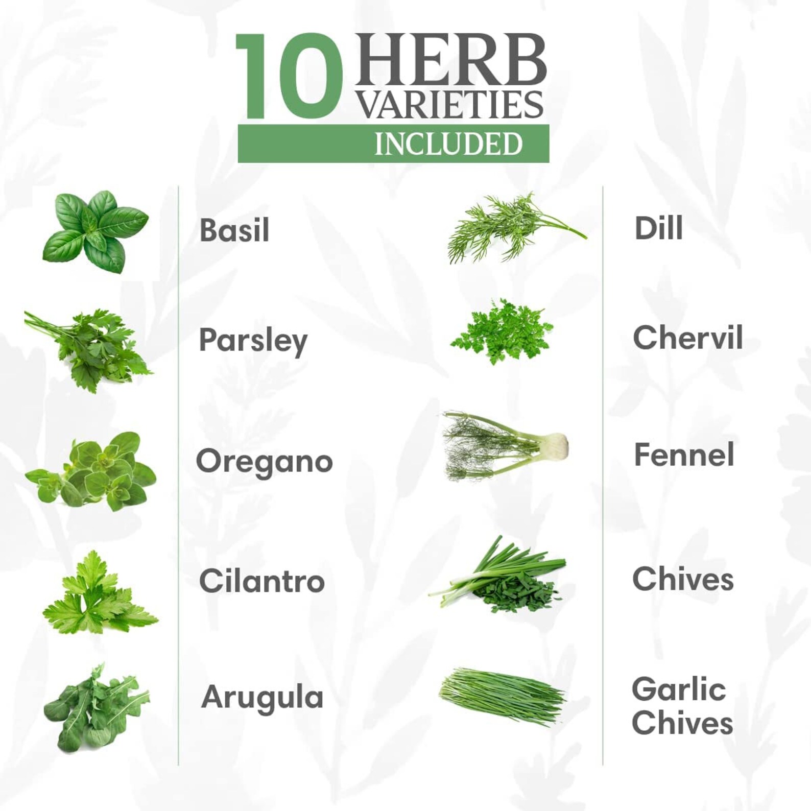 Culinary Herb Garden Kit Easily Grow 10 Culinary Herbs With Etsy