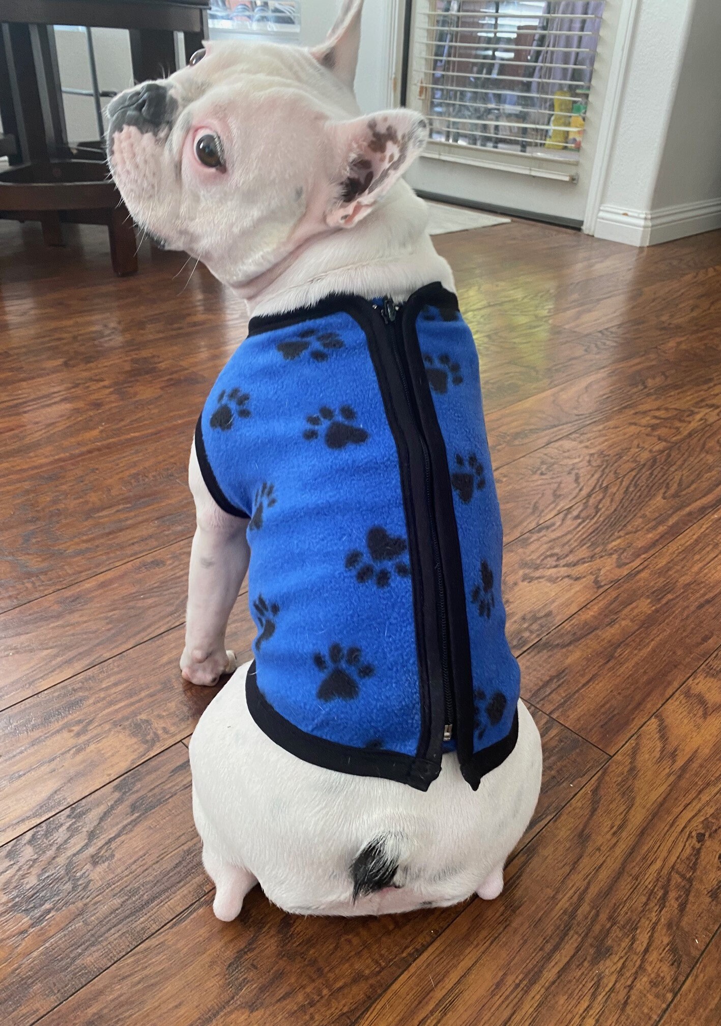 High Quality Zip up Dog Vest Made in USA Polar Fleece Dog Etsy