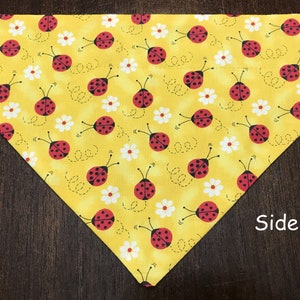 Reversible Summer Themed Bandana For Your Pup!