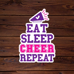 Cheer Stickers, Planner Stickers, Birthday Gift, Cheer Gifts, Best Friend Gift,