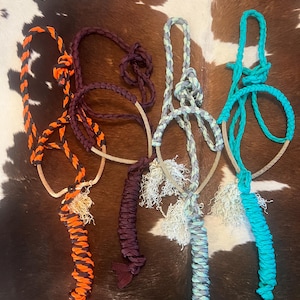 Lariat Mule Tape Halter