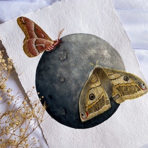 Originalgemälde Aquarell Mond und Motten, Vollmondaquarell, Mottenkunst, einzigartiges Aquarell, Schmetterlingsmalerei