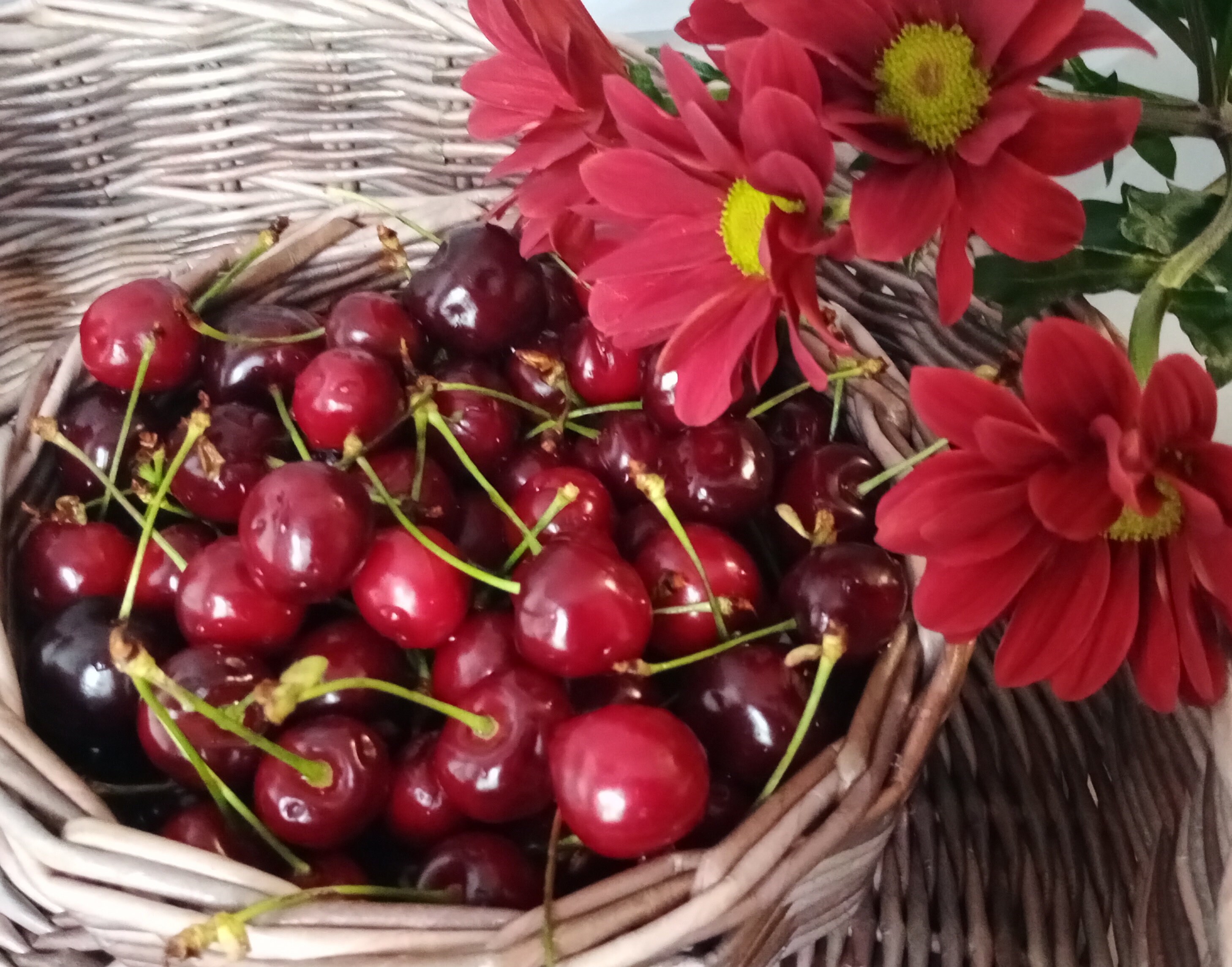 Coffee Tray Wicker Coffee Serving Tray Handmade Basket Wicker Etsy