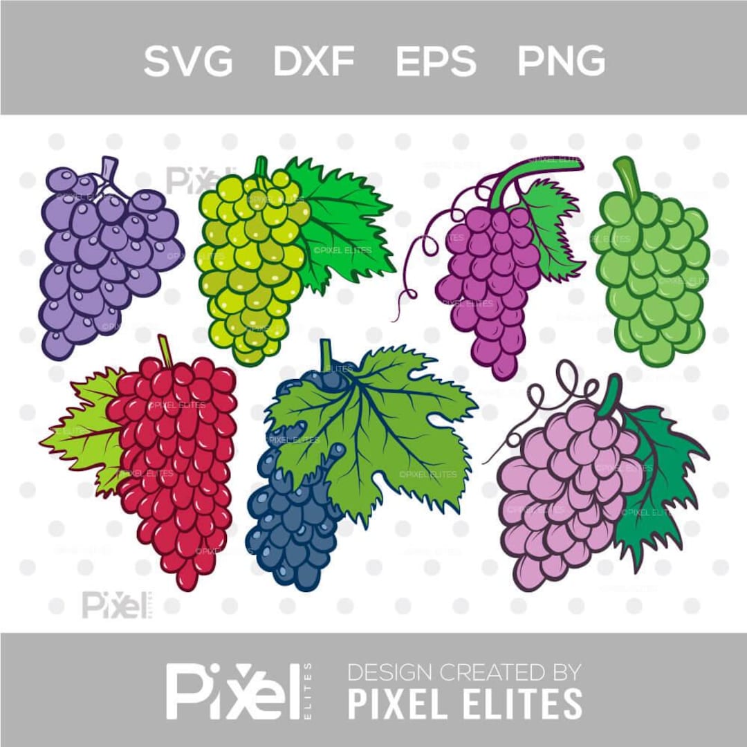 Grapes Clipart SVG Cut File | Grapevine & Summer Fruit Design Bundle ...