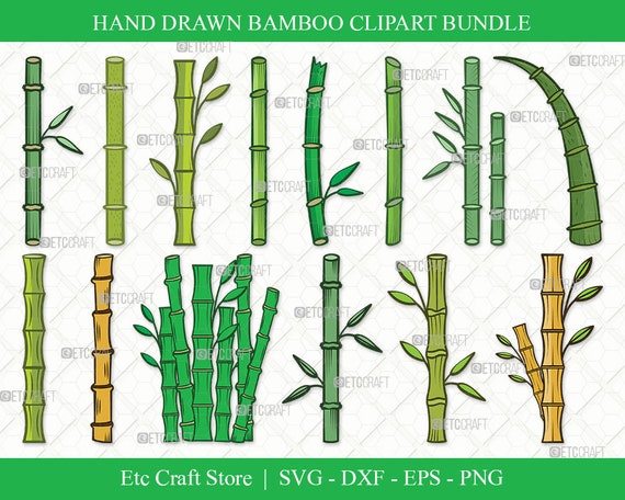 Shop - SVG Bamboo