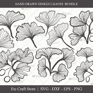 Ginkgo Leaves Outline SVG Cut File | Ginkgo Leaf Svg | Ginko Biloba Svg | Plants Svg | Ginkgo Leaves Bundle | Autumn Leaf SVG | Eps | Dxf |
