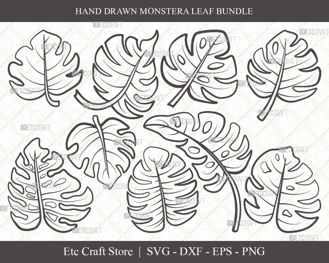 Monstera Leaf Outline SVG Cut File / Monstera Leaves Svg / - Etsy México