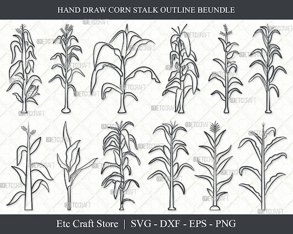 Corn Stalk SVG Corn Stalk Outline Corn Tree Svg Corn Svg Etsy