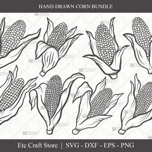 Corn Outline SVG Cut File | Maize Svg |Cob Svg | Fruit Svg | Farm Svg | Vegetable Bundle | Summer SVG | Eps | Dxf | Png