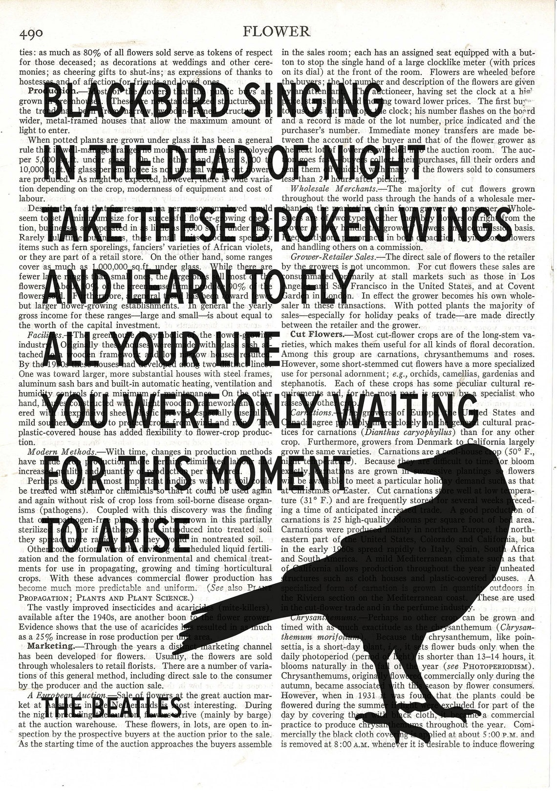 Blackbird Singing in the Dead of the Night the Beatles Etsy