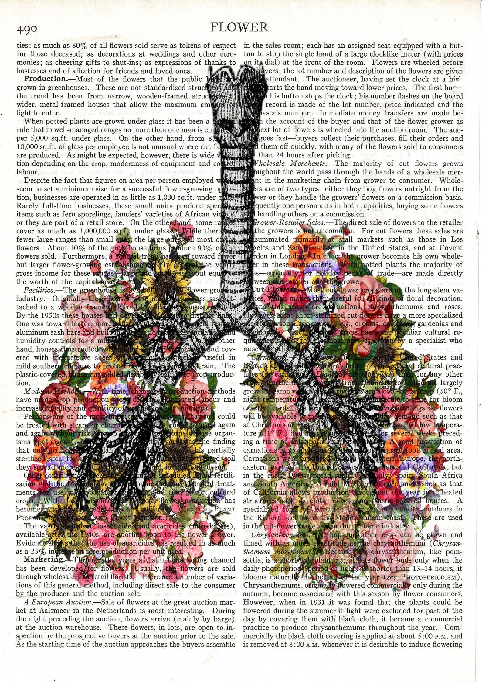 Flower Lungs Medical Anatomical Drawing Vintage Anatomical Etsy