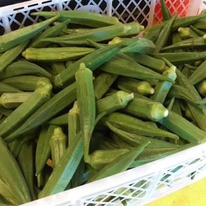 Indian Okra - Desi Bhindi - Fresh Vegetable (3 Lbs)