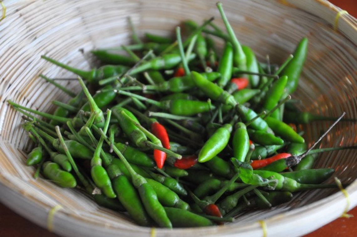 Fresh Thai Chili Green 12 Oz Etsy