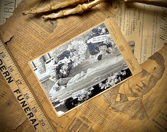 May include: A black and white photograph of a woman lying in a coffin, surrounded by flowers. The photo is a vintage postcard with the text "You must admit she looks well and only suffers with her brain".
