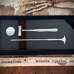 BESTSELLER! Lobotomy Shadowbox Display