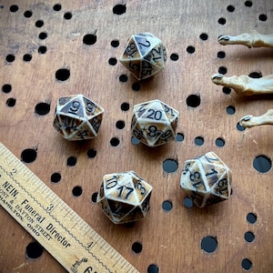 May include: Five off-white and brown polyhedral dice with numbers, arranged on a wooden surface with a ruler and bone-like objects. The dice are numbered from 1 to 20. The ruler has text that reads "R.C. Nein, Funeral Director".