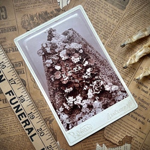 Victorian Post Mortem Photograph Bereaved Remembrance
