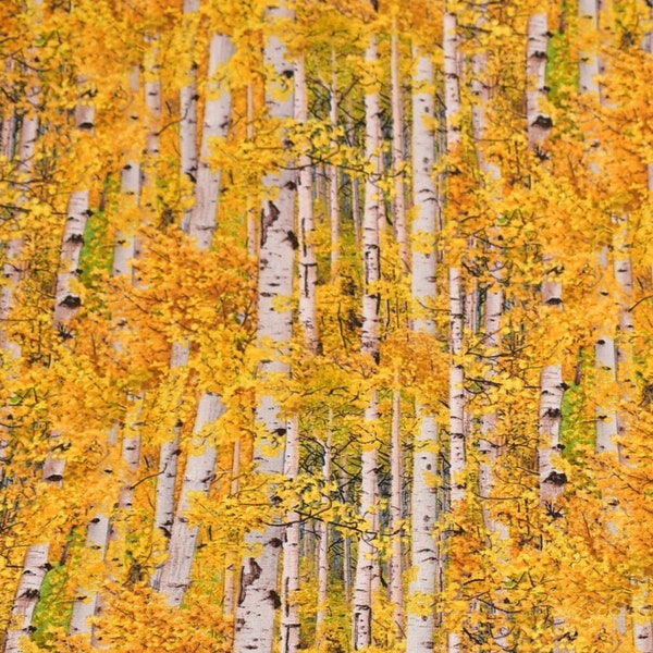 Birch Trees Fabric / 100% Quilter's Cotton Fabric / Landscape Medley-Gold-491E / Fabric by Elizabeth's Studio / 44" wide