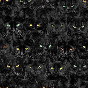 Halloween Fabric / 100% Quilting Cotton / Black Cat Fabric / Wicked Black Cats Magic / CAT-CD 1831 Black / by Timeless Treasures / 44&quot; wide