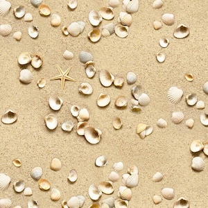 Sand and Shells Fabric / 100% Quilting Cotton Fabric / Coastal Dreams / Landscape Medley 555 Sand / by Elizabeth&#39;s Studio / 44&quot; wide