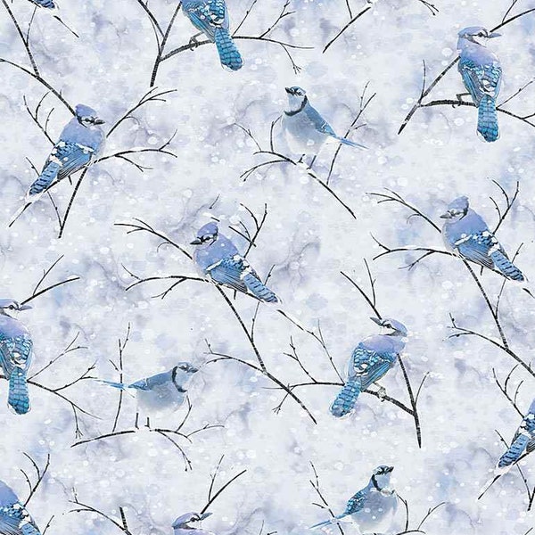 Blue Jay Birds Fabric / 100% Quilter's Cotton / Blue Jays Birds in Winter / Thomas-CD1218 Blue / by Timeless Treasures / 44" wide