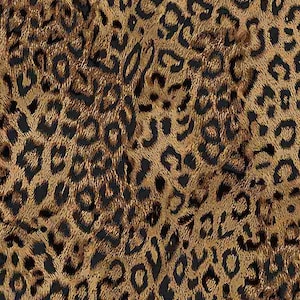 Leopard Fabric / 100% Quilter Cotton / Wild-C2717 Leopard / Wild at Heart Collection / Fabric by Timeless Treasures / 44&quot; wide