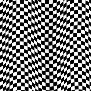 Checkered Flag Fabric / 100% Quilter's Cotton / Black & White Checkered Flag CAR-C5402 Flag / by Timeless Treasures Fabrics / 44" wide