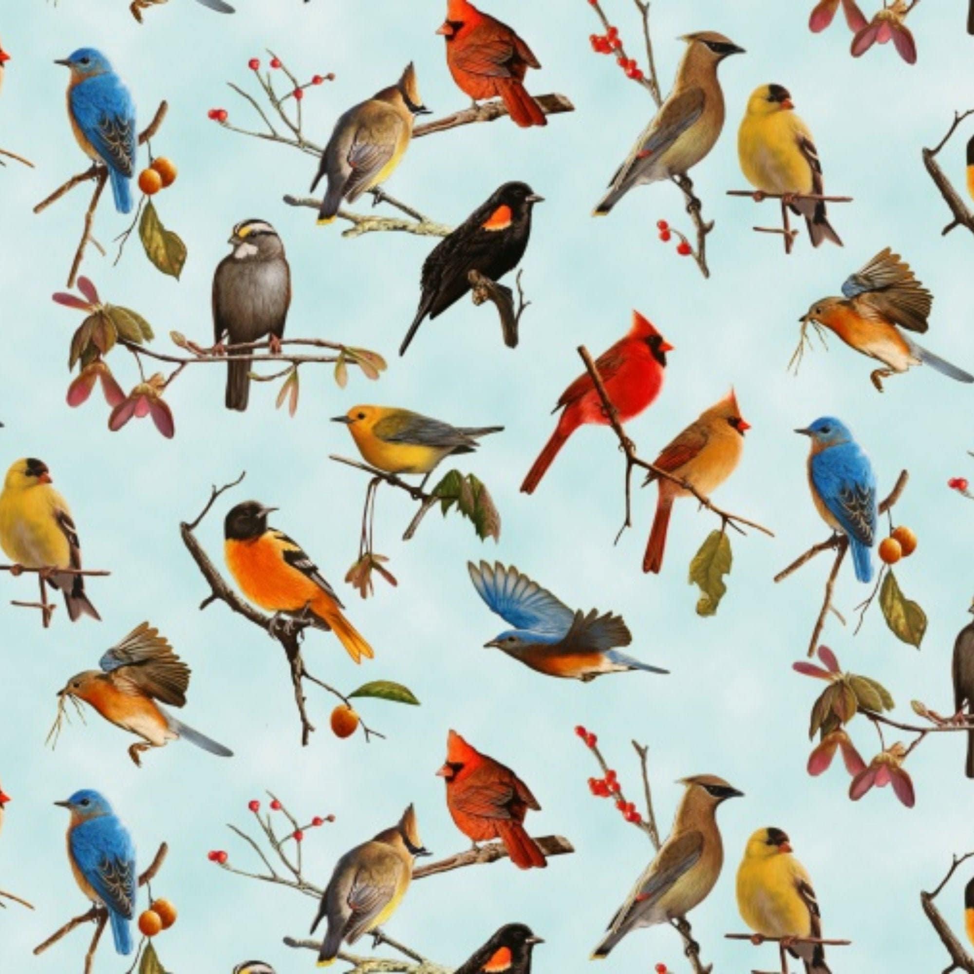 Bird Fabric / 100 Cotton Fabric / Assorted Birds on Light Etsy