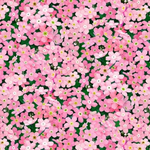 Floral Fabric / 100% Quilter Cotton / Pink Floral Fabric / Forget Me Nots 542E PINK / Fabric by Elizabeth's Studio / 44" wide