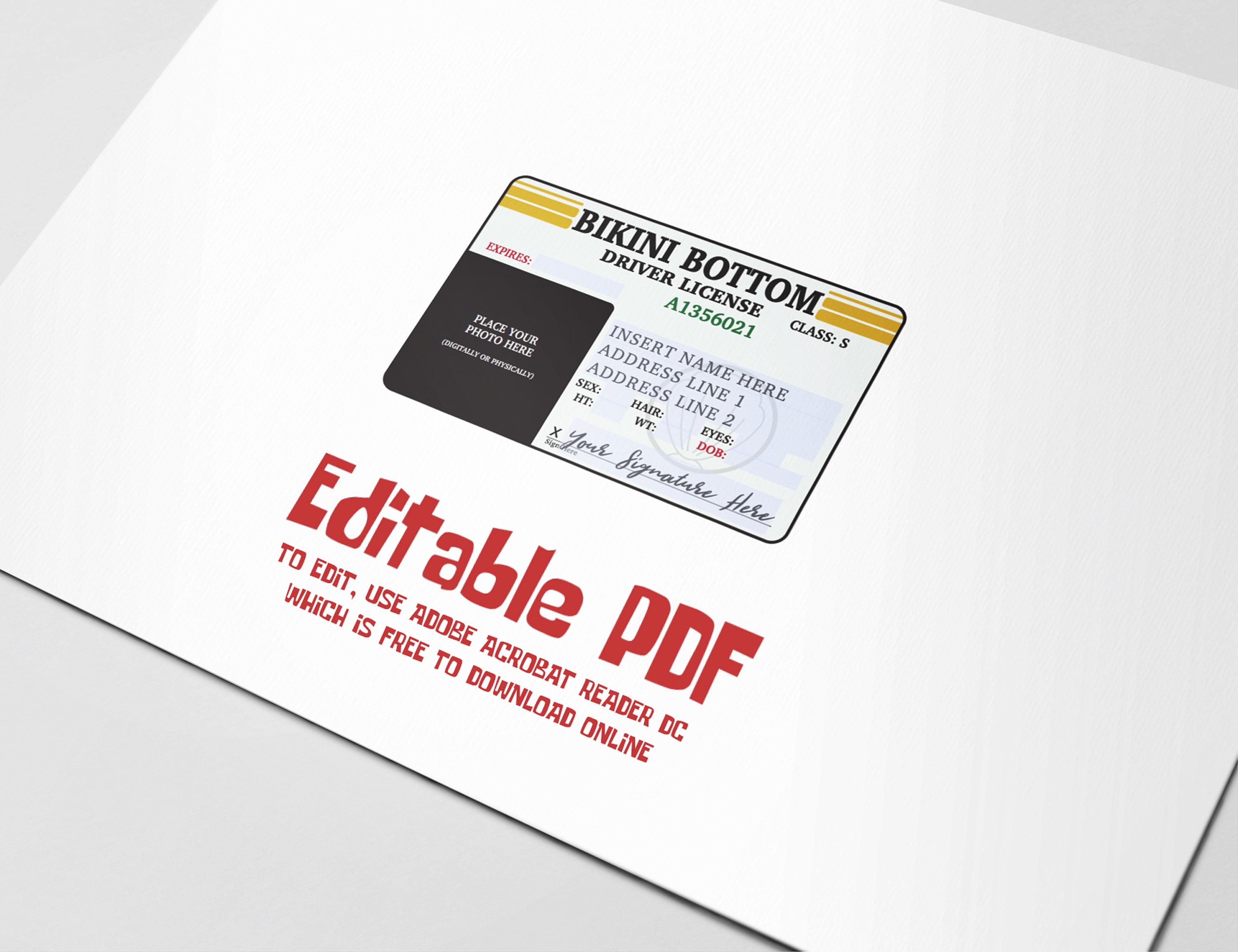 Bikini Bottom Drivers License Editable PDF Digital Download Etsy