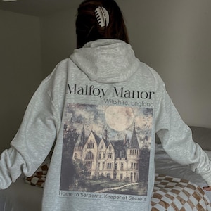 Dramione Hoodie Manacled Fanfiction Fanfic reading hoodie Dracotok sweatshirt Dark Academia clothing Booktok Bookish sweater Book Lover gift