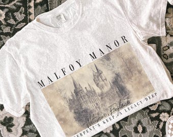 Dramione era Manacled merch Fanfiction Comfort Colors shirt High Reeve Booktok Fanfic merch Wizard world tee, Dark Academia clothing manacle