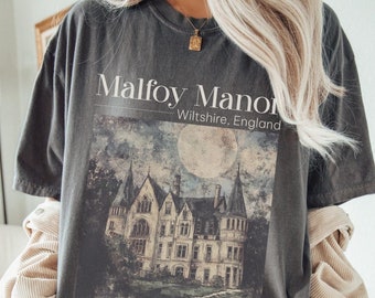 Dramione era Manacled merch Fanfiction Comfort Colors shirt Booktok Bookish merch, Wizard world tee, Dark Academia clothing gift for Readers