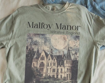 Dramione era Manacled merch Fanfiction Comfort Colors shirt Booktok Bookish merch, Wizard world tee, Dark Academia clothing gift for Readers