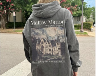 Dramione Hoodie Dramione Manacled fanfiction sweatshirt, The Auction book Isolation fanfic gift, manacle drarry Dramione merch