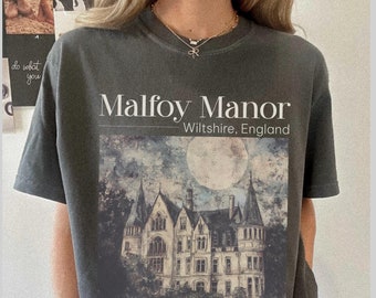 Dramione era Manacled merch Fanfiction Comfort Colors shirt Booktok Bookish merch, Wizard world tee, Dark Academia clothing gift for Readers