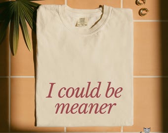 I Could Be Meaner shirt funny meme Comfort Colors tee sarcastic t-shirt sassy humorous gift for her sarcasm tshirt for women mothers day