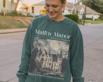 Dramione era Manacled merch Fanfiction Sweatshirt Comfort Colors Wizards Dark Academia clothing reading sweater Booktok secrets and masks
