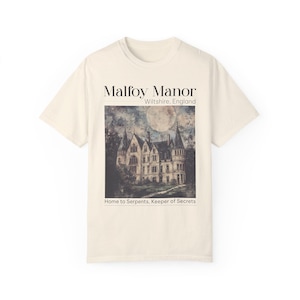 Dramione era Manacled merch Fanfiction Comfort Colors shirt Booktok Bookish merch, Wizard world tee, Dark Academia clothing gift for Readers image 7