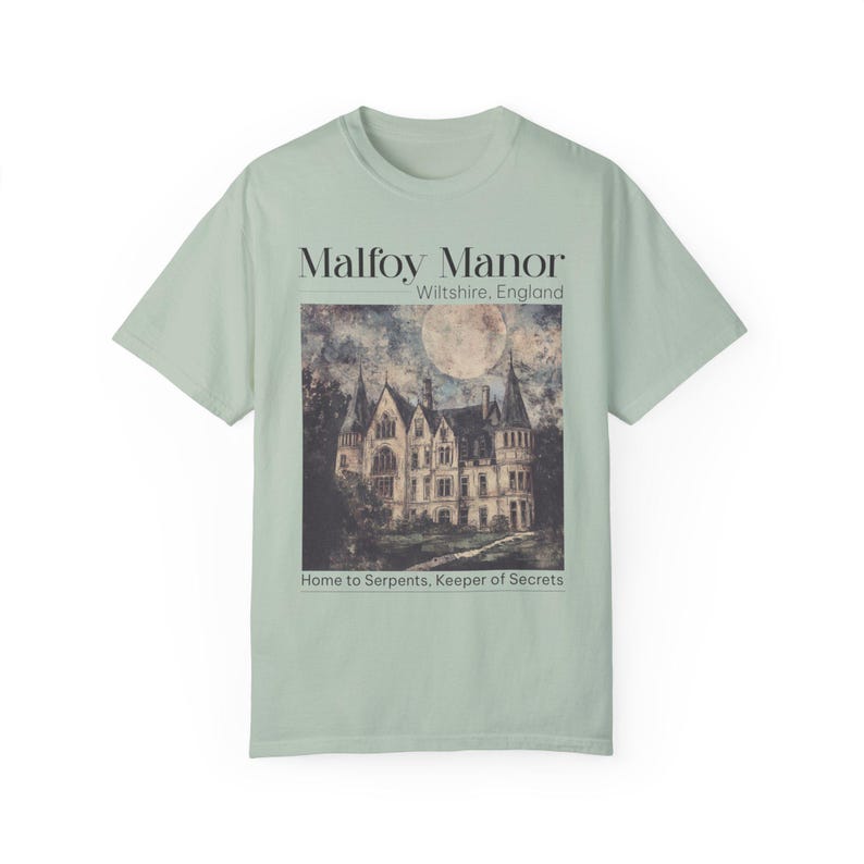 Dramione era Manacled merch Fanfiction Comfort Colors shirt Booktok Bookish merch, Wizard world tee, Dark Academia clothing gift for Readers image 5