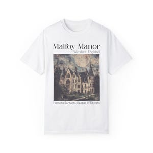Dramione era Manacled merch Fanfiction Comfort Colors shirt Booktok Bookish merch, Wizard world tee, Dark Academia clothing gift for Readers image 6