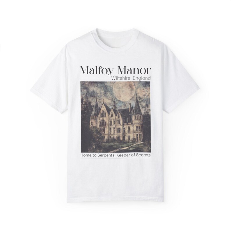 Dramione era Manacled merch Fanfiction Comfort Colors shirt Booktok Bookish merch, Wizard world tee, Dark Academia clothing gift for Readers image 6