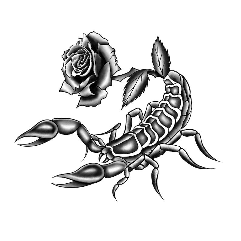 Scorpion Rose Illustration Graphic Tee Etsy